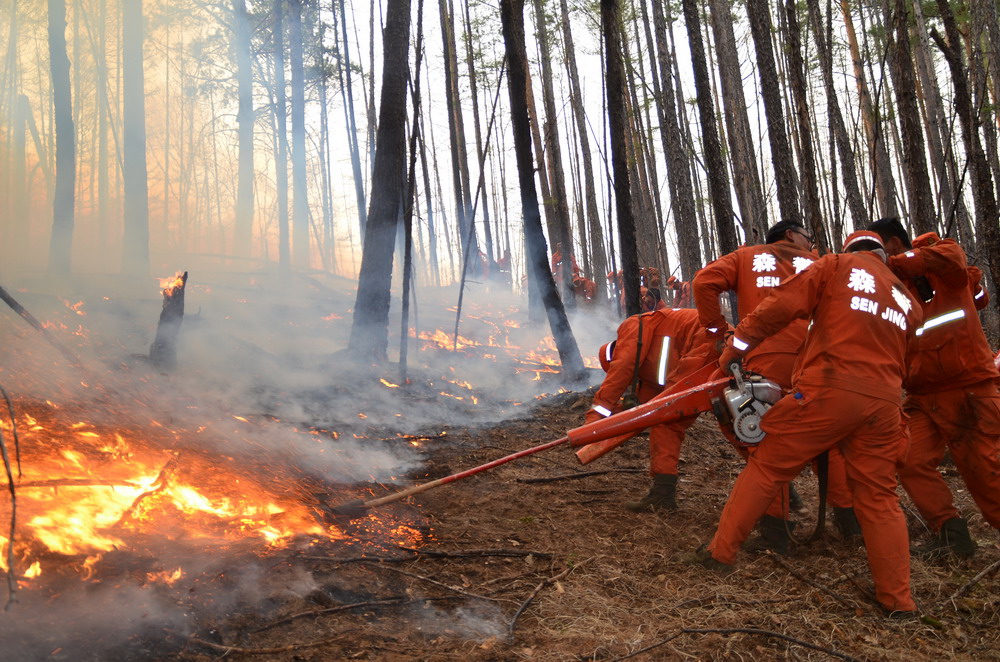 内蒙古大兴安岭满归林业局阿鲁自然保护区发生森林火灾