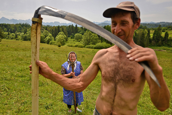 在波兰，很多人使用传统的镰刀和草叉收割牧草，摄影师：Bart Omiej Jurecki