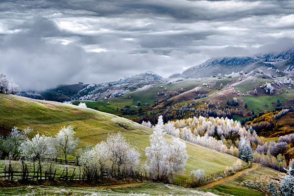 罗马尼亚的白森林，摄影师：Eduard Gutescu