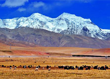 2013《和美西藏》