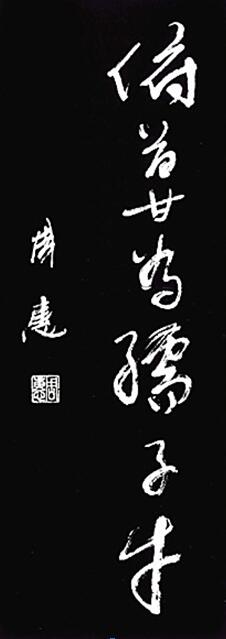 鷨ܻ鼰Ʒ20
