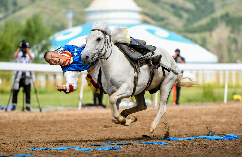 8月20日，騎手在“蒙古馬”傳統技巧表演中展示騎馬拾哈達。