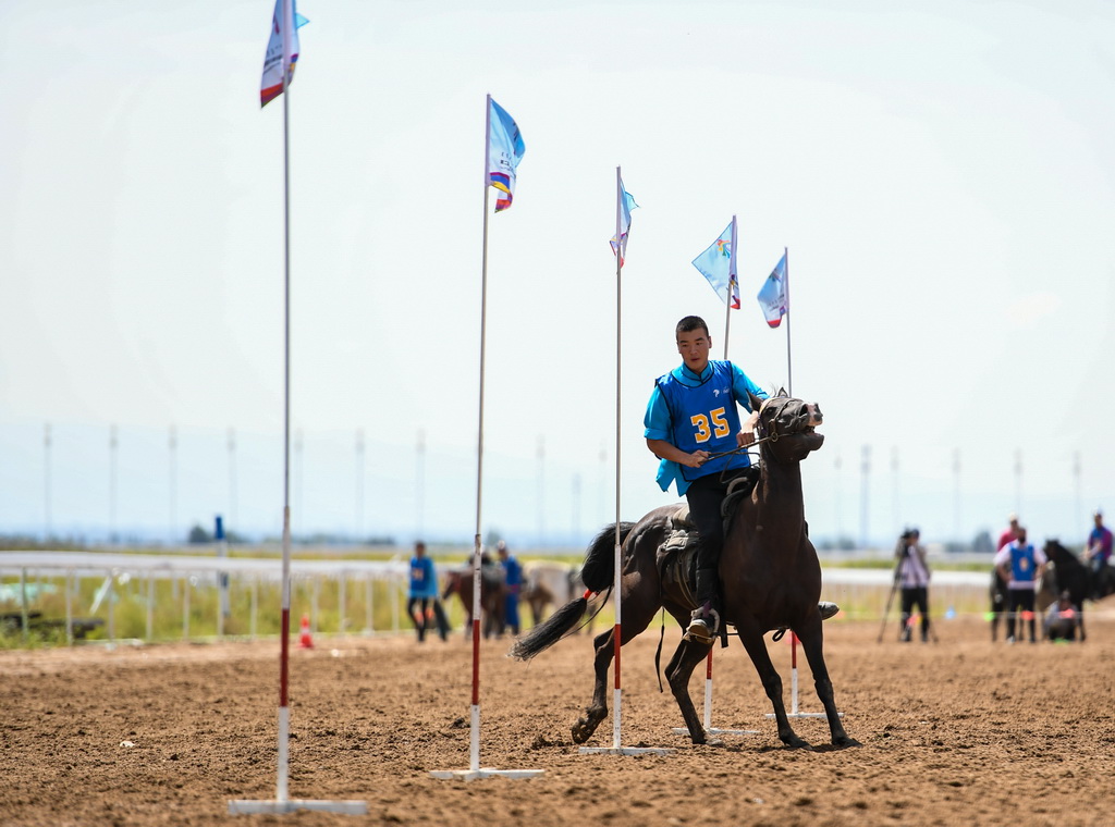 8月20日，騎手在“蒙古馬”傳統技巧表演中展示騎馬穿樁。