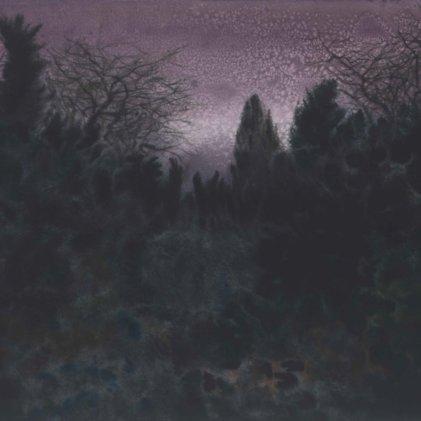 中山公園的夜 陳堅 73x56cm 2015年 中國美術館藏