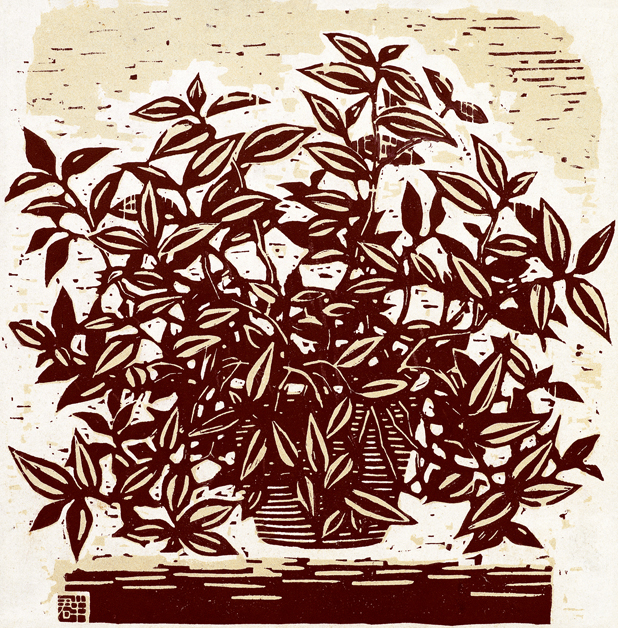 力群《紫露草》25.2×24.8cm，1956年