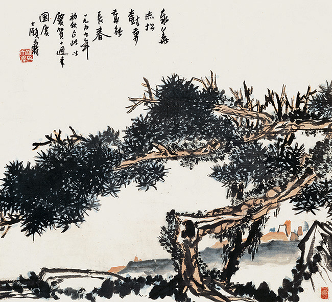 《泰华赤松图》81×89cm，1959年