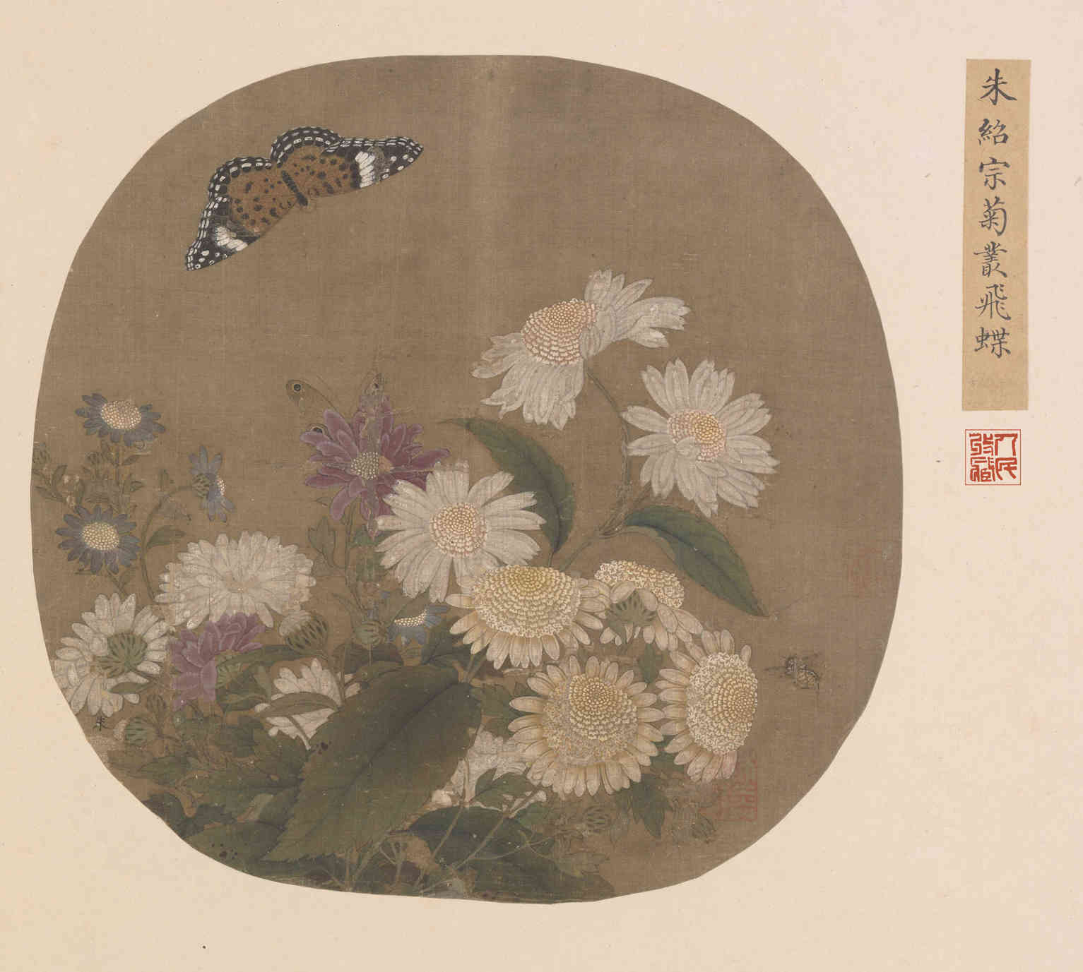 菊丛飞蝶图