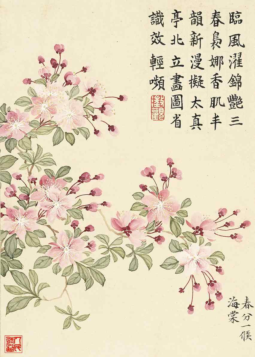 春分一候海棠