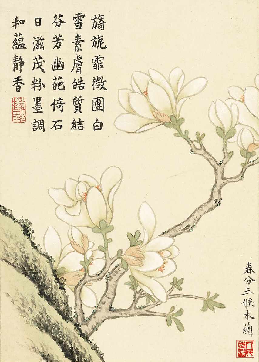 春分三候木兰