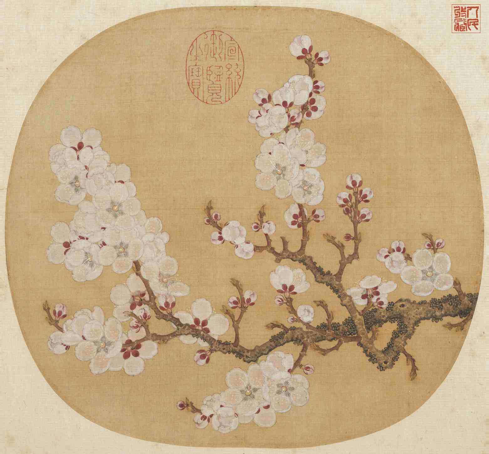 写生杏花-赵昌
