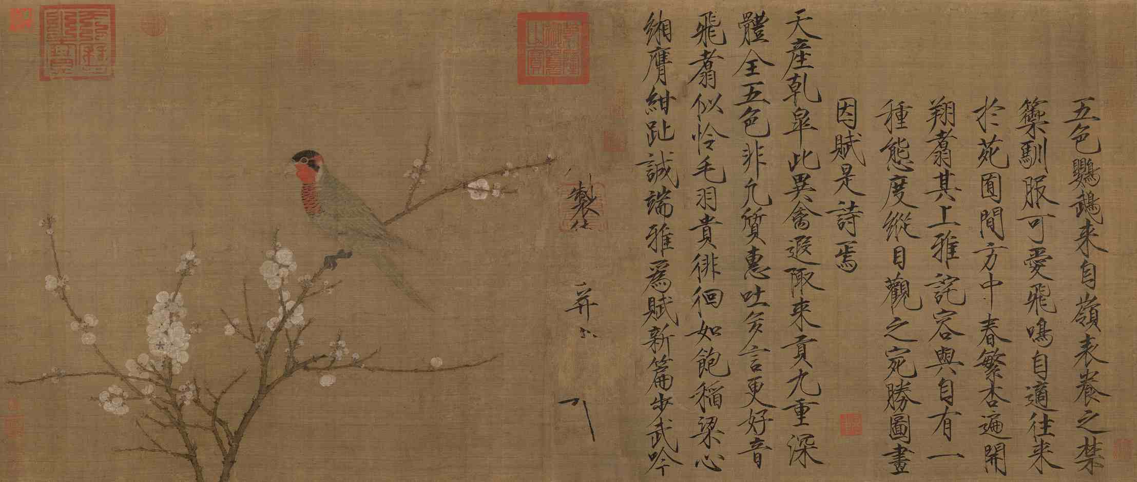 五色鹦鹉图-赵佶