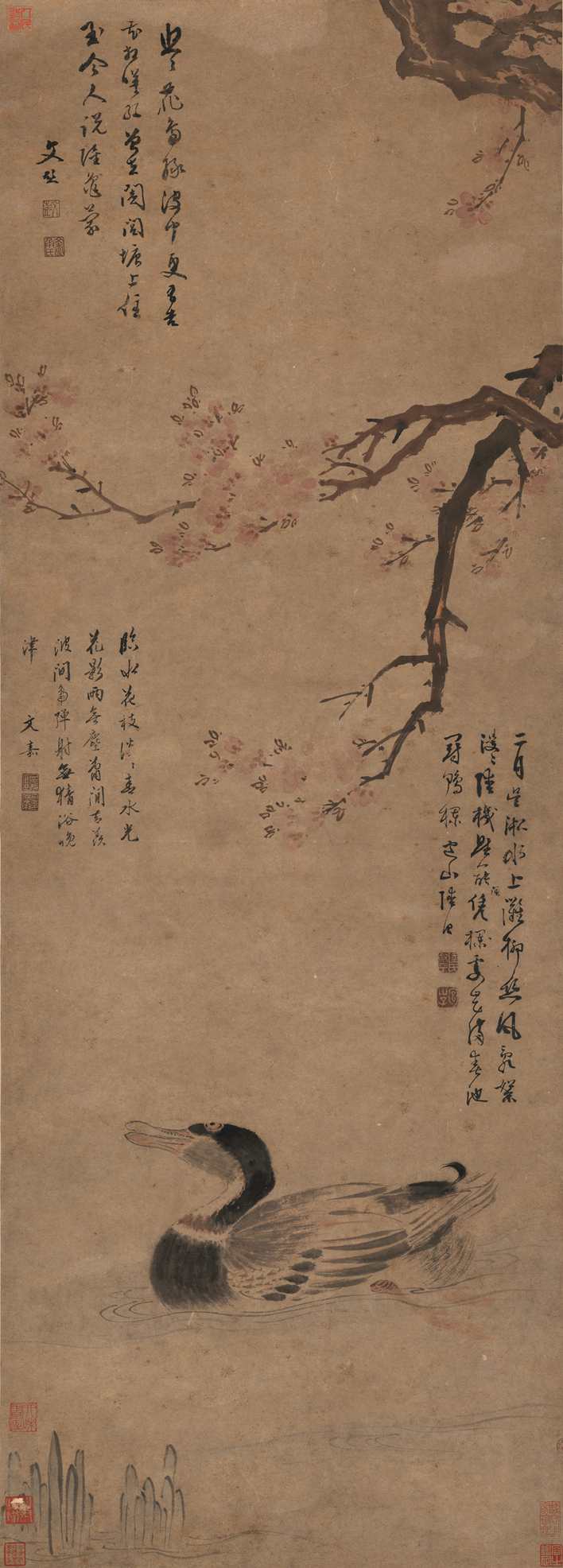 红杏野凫图-陆治
