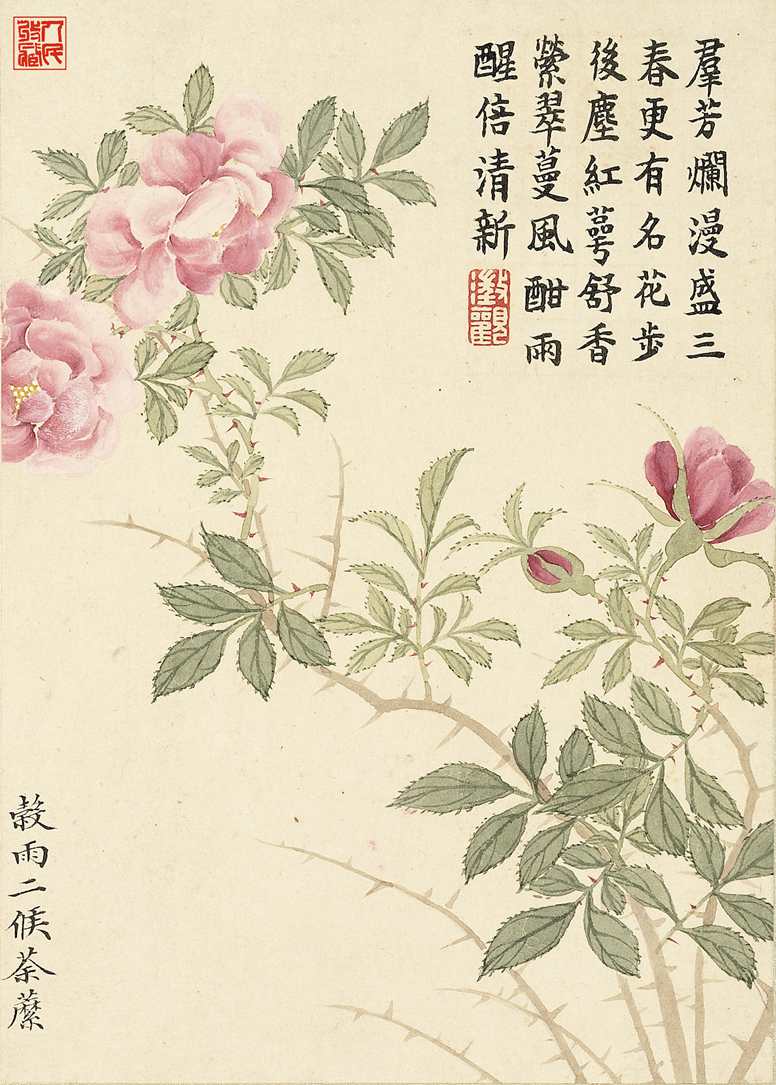 谷雨二候荼蘼