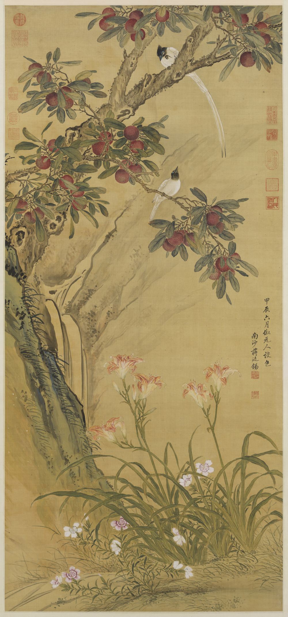 杨梅练雀-蒋廷锡