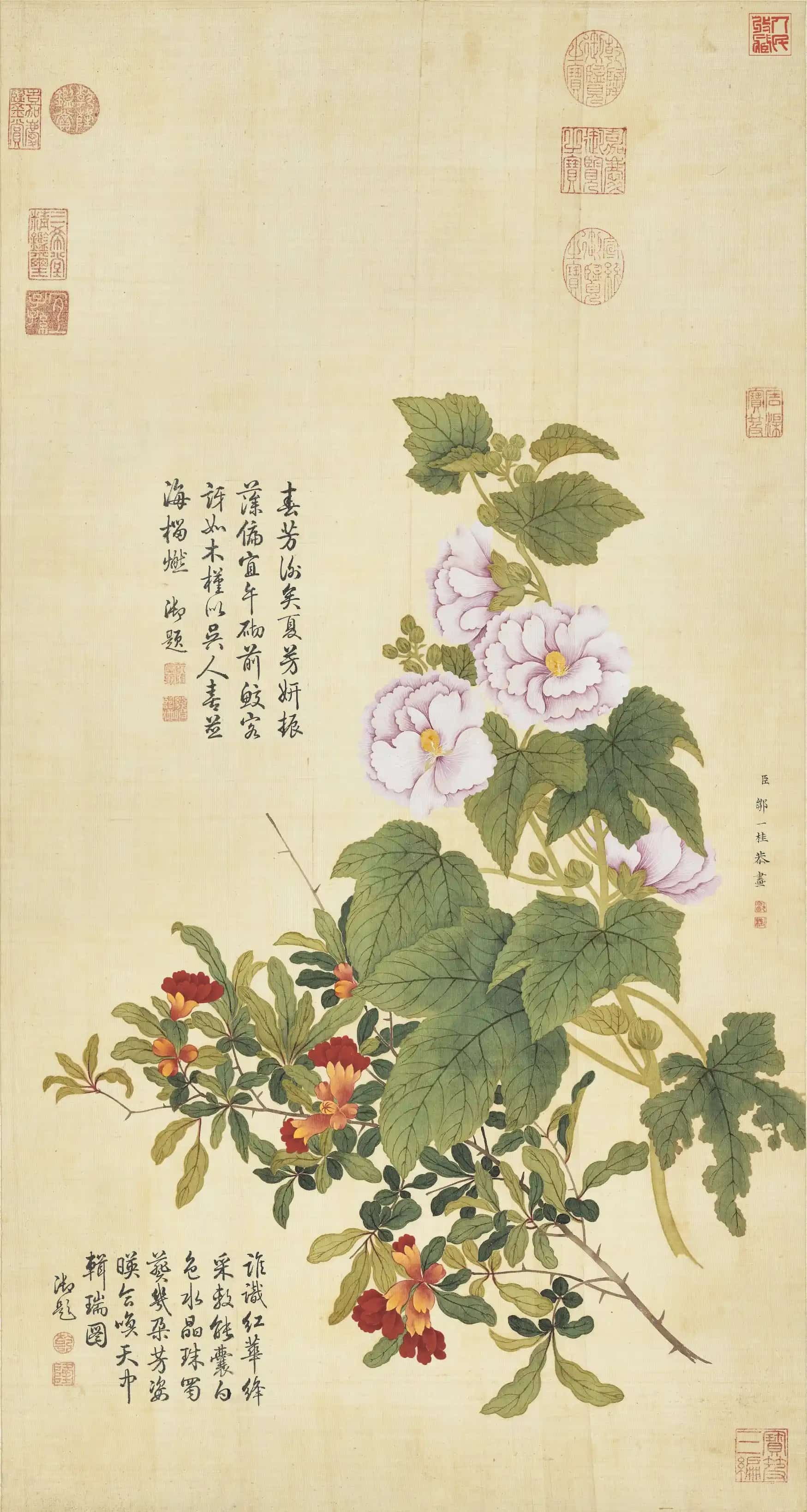 蜀葵石榴-邹一桂
