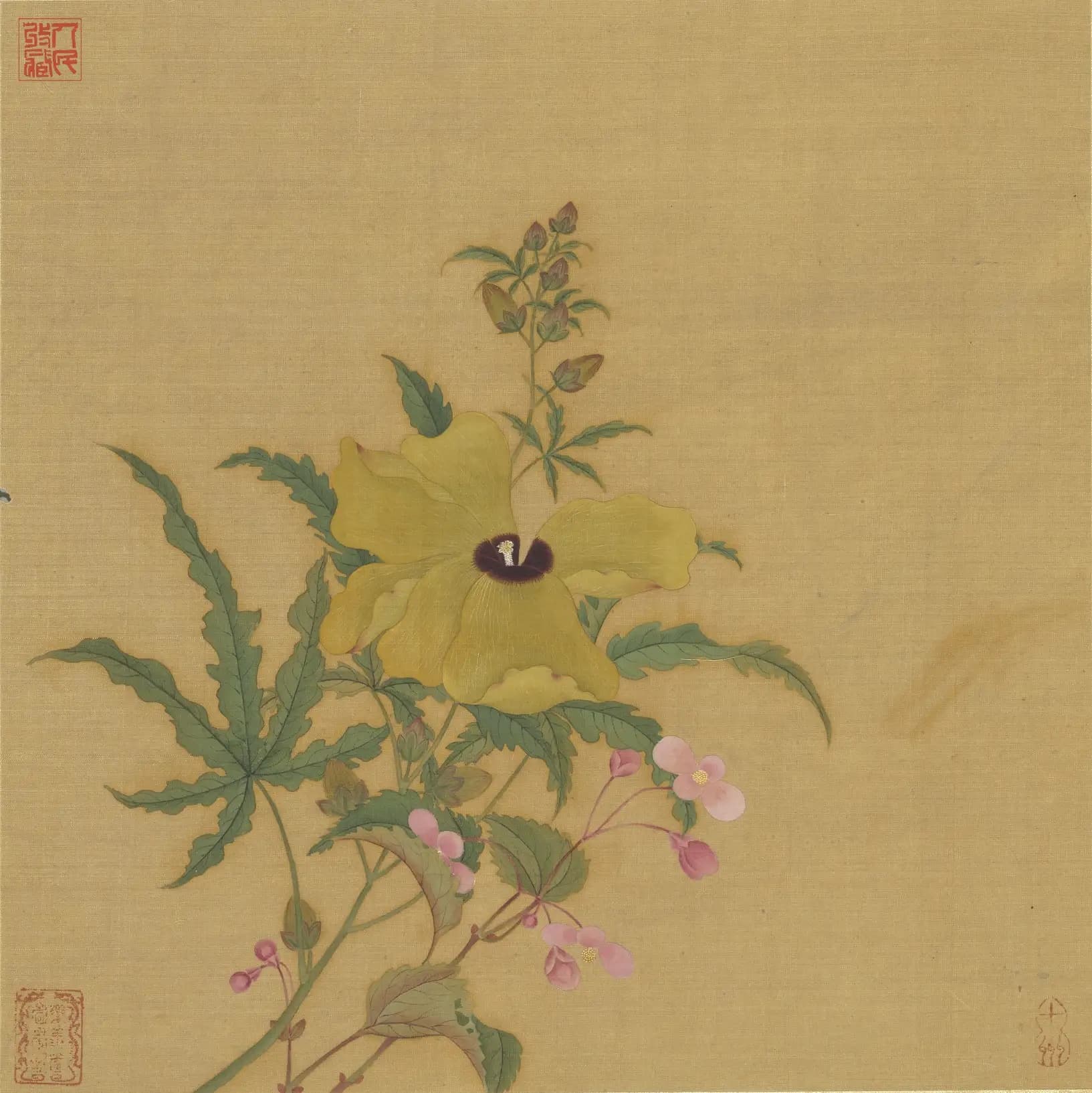 花鸟册之蜀葵-仇英
