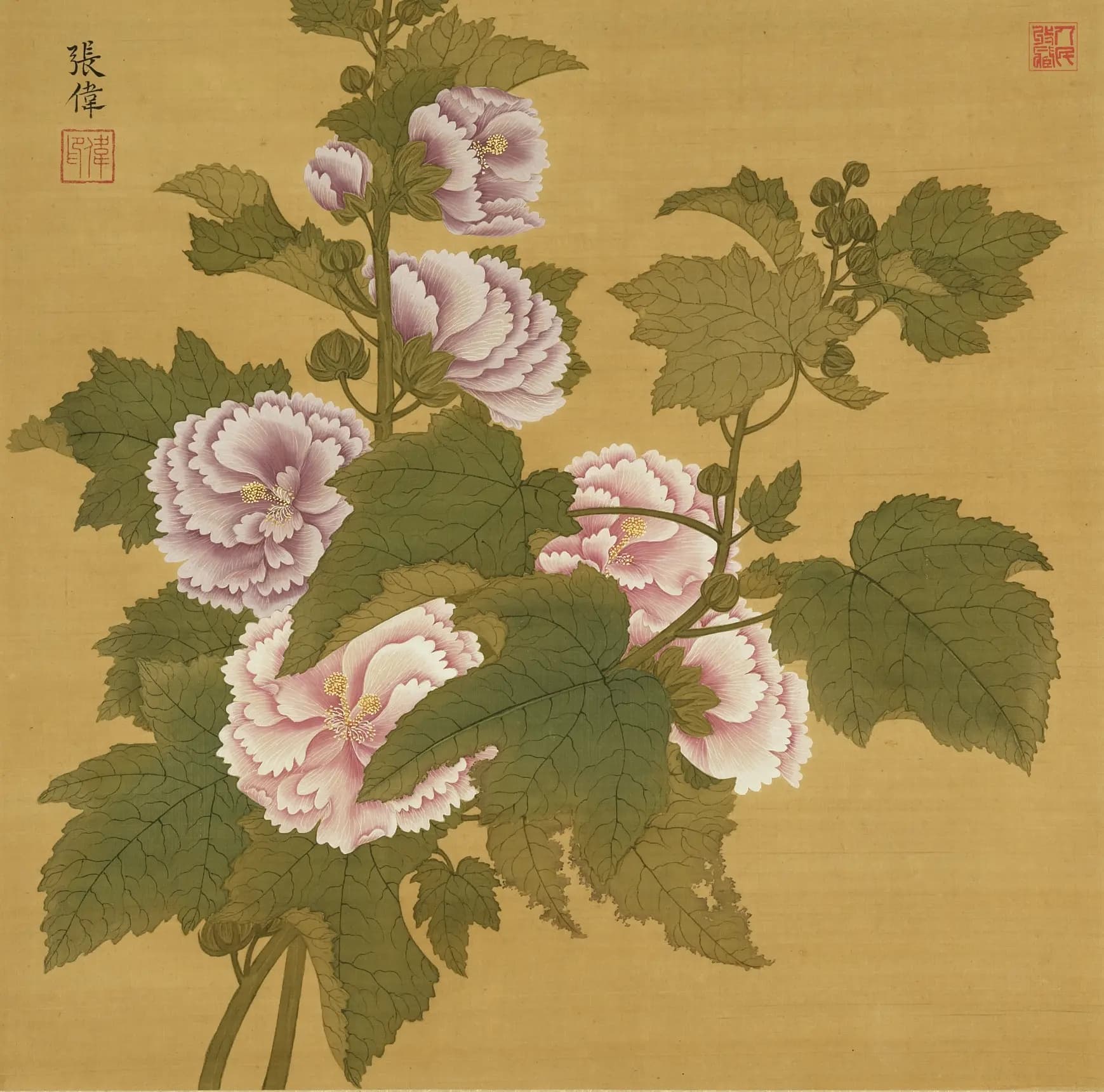 写生花卉册之蜀葵-张伟