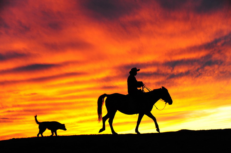 在额尔古纳室韦俄罗斯民族乡,一位牧人在落日余晖下骑马走过额尔古纳